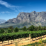 Wineries & Restaurants to Visit in South Africa
