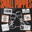Small Poppies Trade Tasting